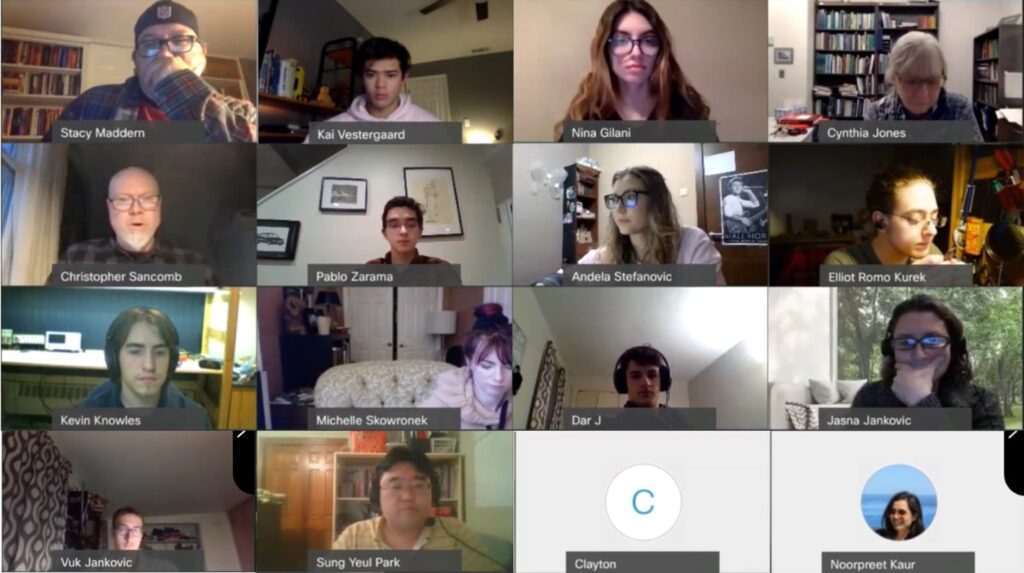 Members of the team meet virtually once a week to discuss their ideas and share progress reports.